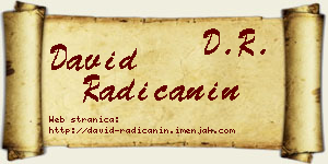 David Radičanin vizit kartica